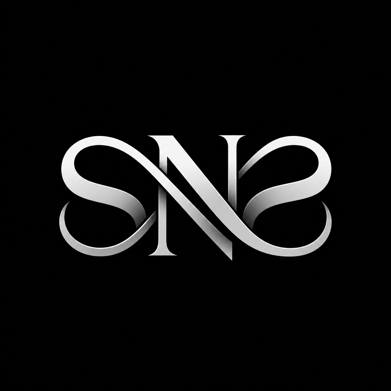 SNS Leather Wear Official Logo